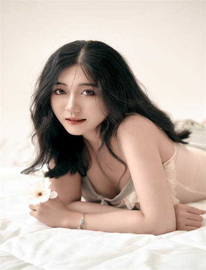 探秘《先生有系统》的文化符号与象征意义